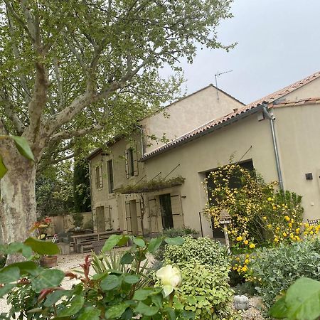 Gite Du Mas De La Finiere ,Avec Spa Interieur 沙托勒纳尔 外观 照片