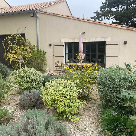 Gite Du Mas De La Finiere ,Avec Spa Interieur 沙托勒纳尔 外观 照片
