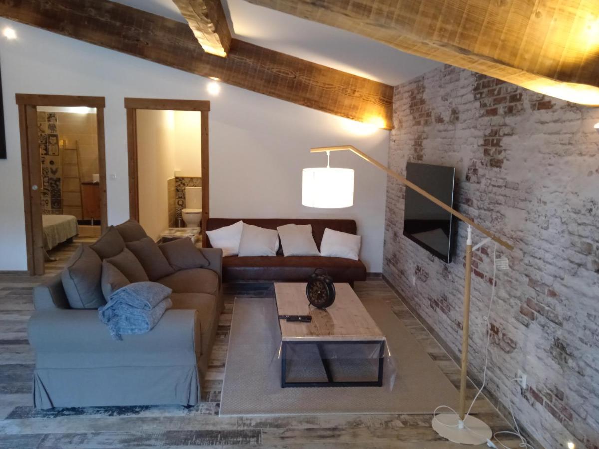 Gite Du Mas De La Finiere ,Avec Spa Interieur 沙托勒纳尔 外观 照片