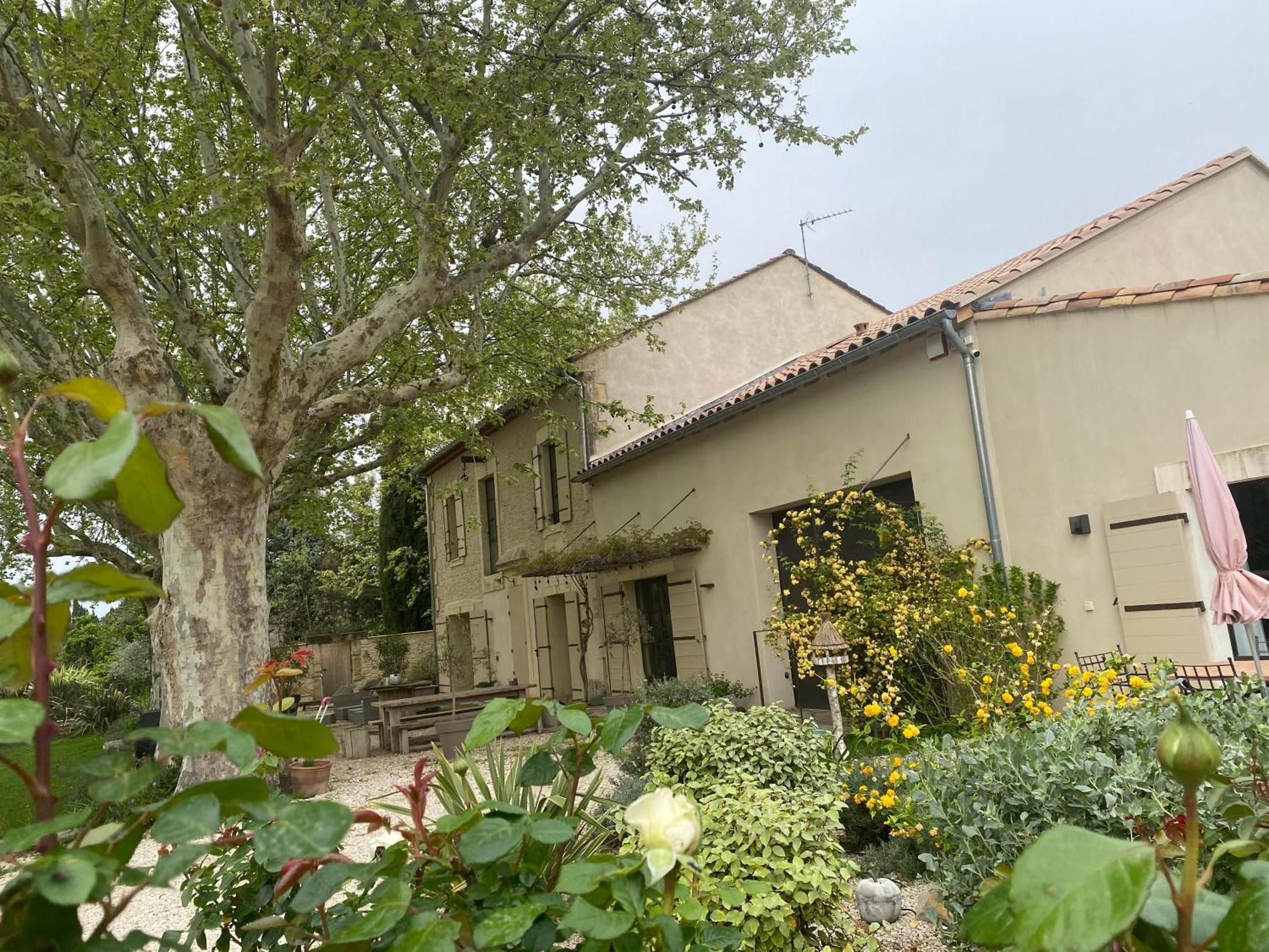 Gite Du Mas De La Finiere ,Avec Spa Interieur 沙托勒纳尔 外观 照片